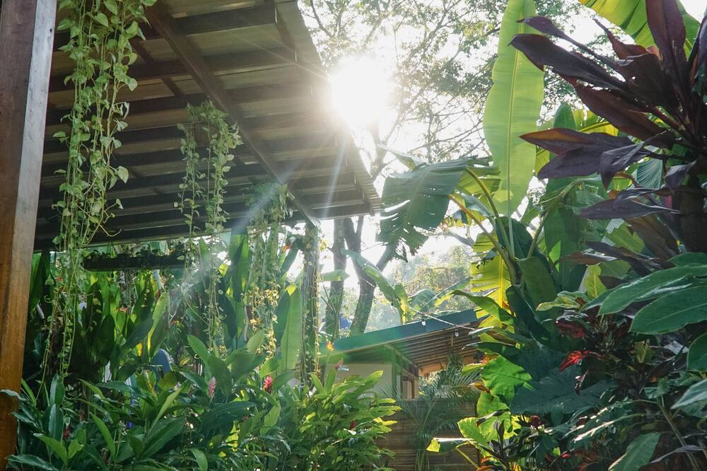 Dream Surf House Santa Teresa