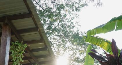 Dream Surf House Santa Teresa