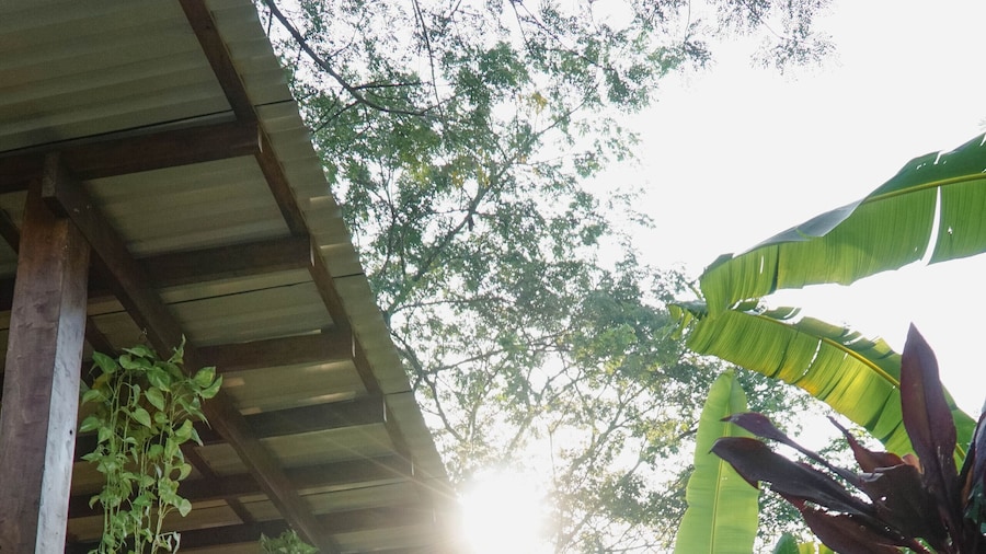 Dream Surf House Santa Teresa