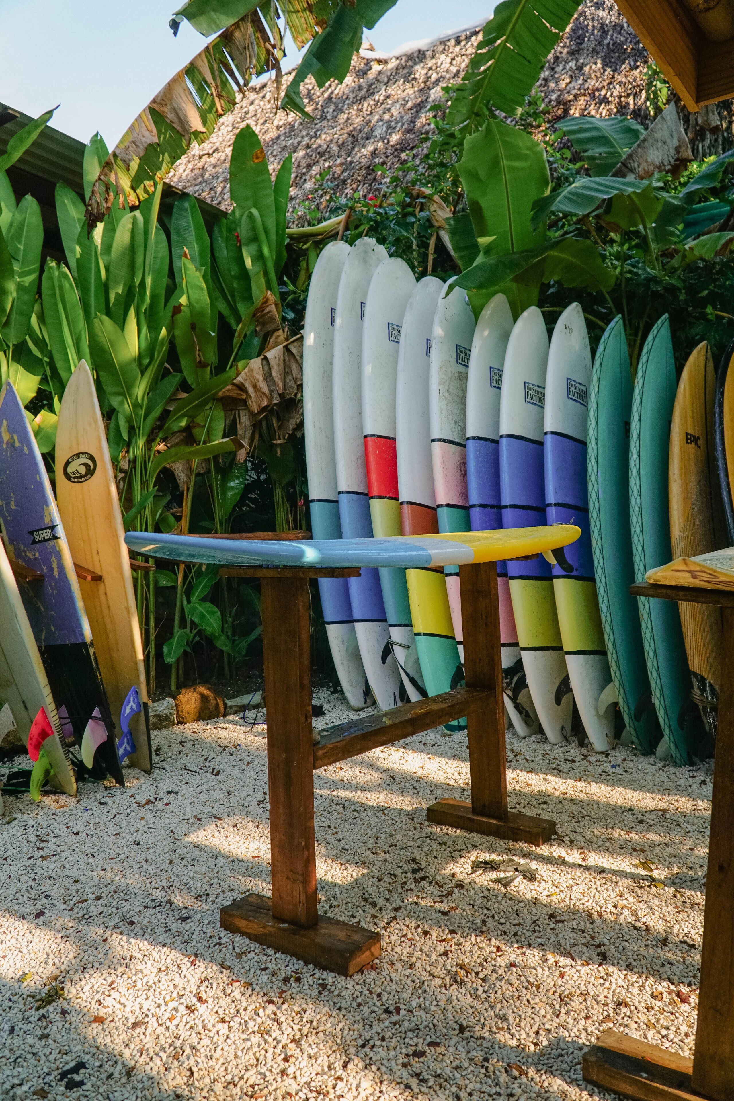 Une collection de planches de surf appuyées contre une structure en bois, dans un espace jardin aménagé avec un sol de gravier et des plantes tropicales.