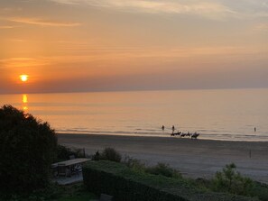 On the beach, sun-loungers, beach towels
