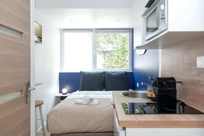 Iron/ironing board, free WiFi, bed sheets - David D Angers 22 - Studio Apartment, Sleeps 2 (Paris)