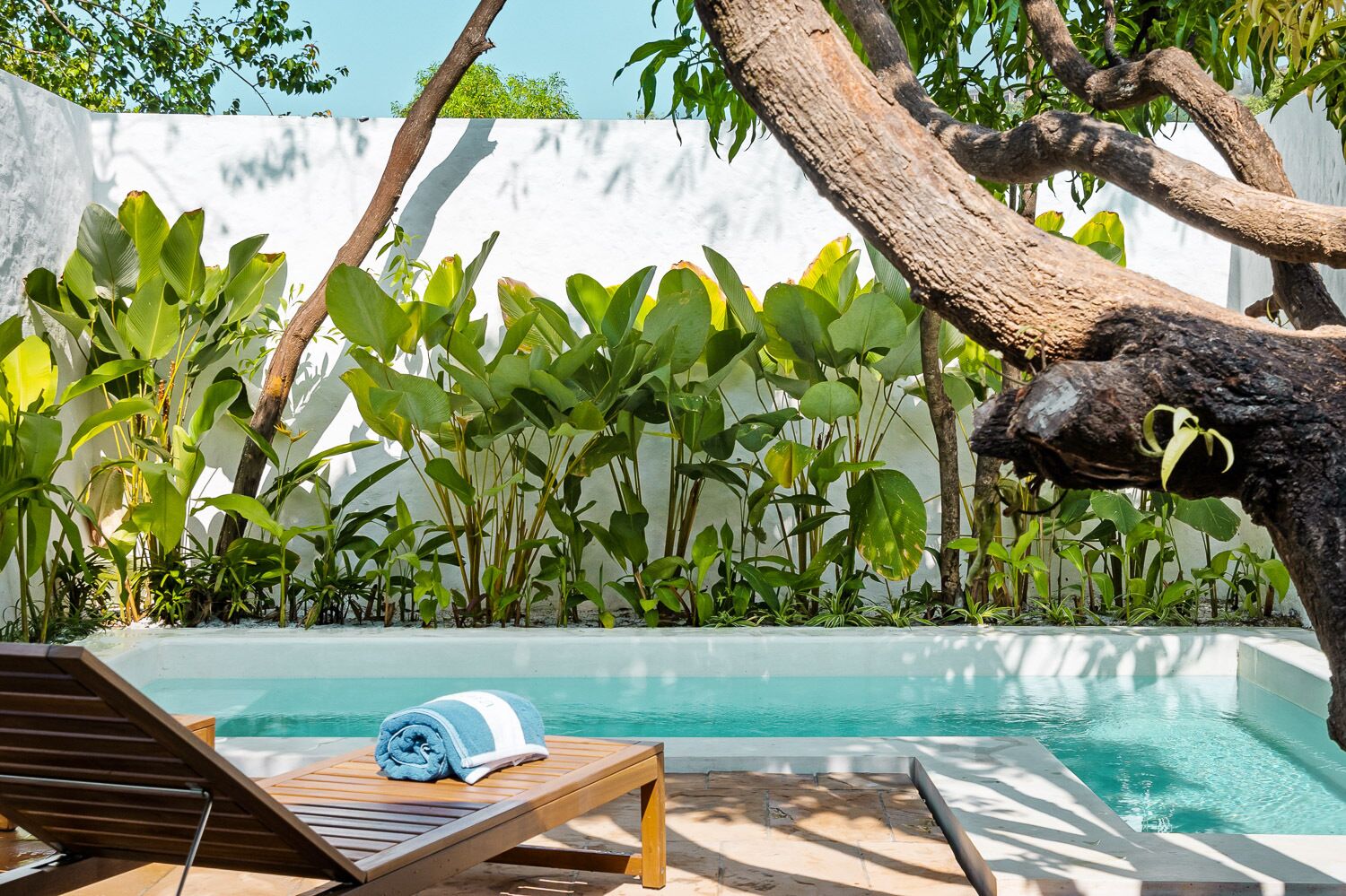 A poolside area with lounge chairs and a towel, surrounded by lush greenery and a white wall.