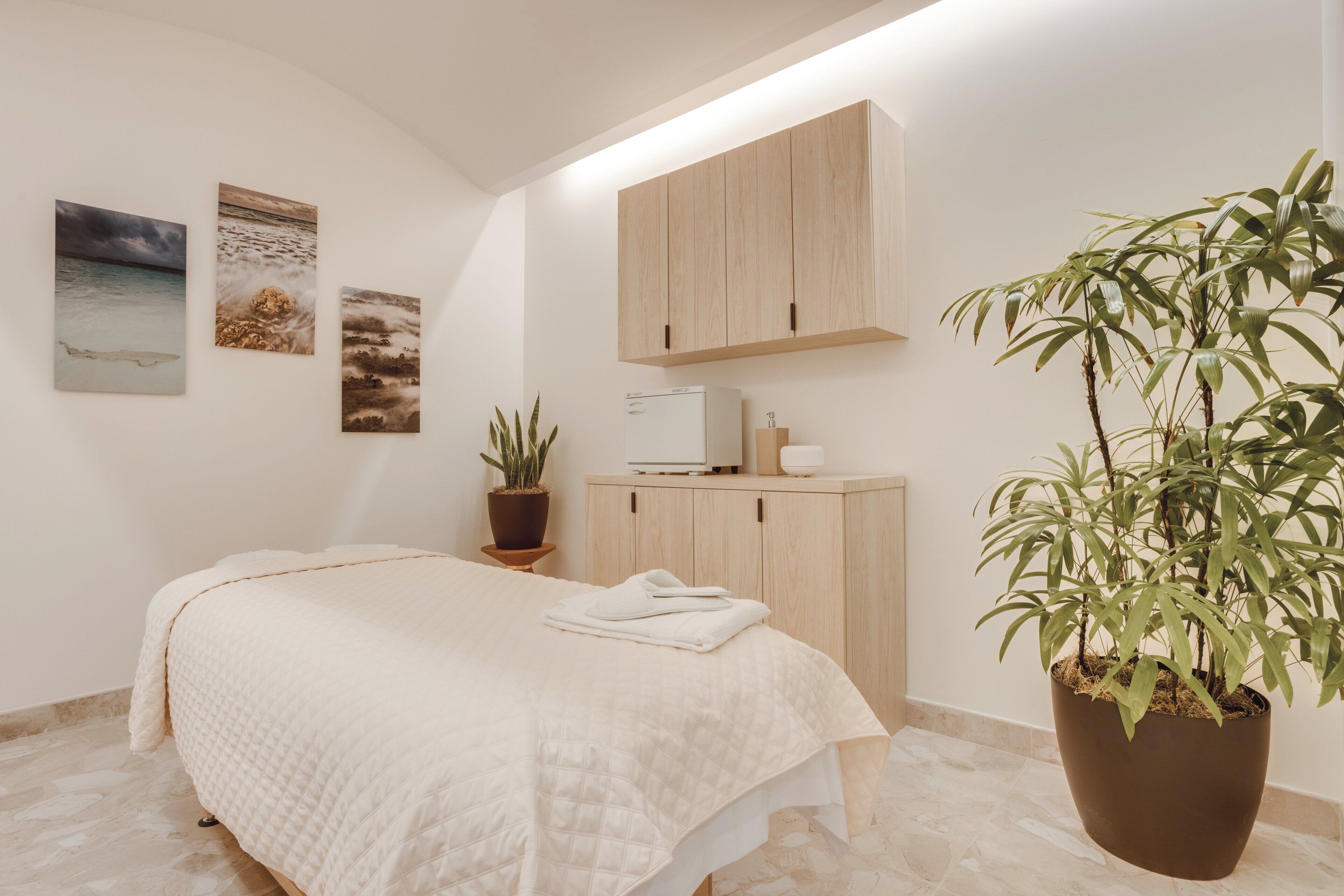 Un dormitorio con una cama, una planta en maceta, un armario y obras de arte en la pared.