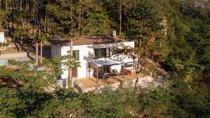 Ein modernes Haus mit großer Terrasse und Whirlpool, umgeben von dichtem Wald.