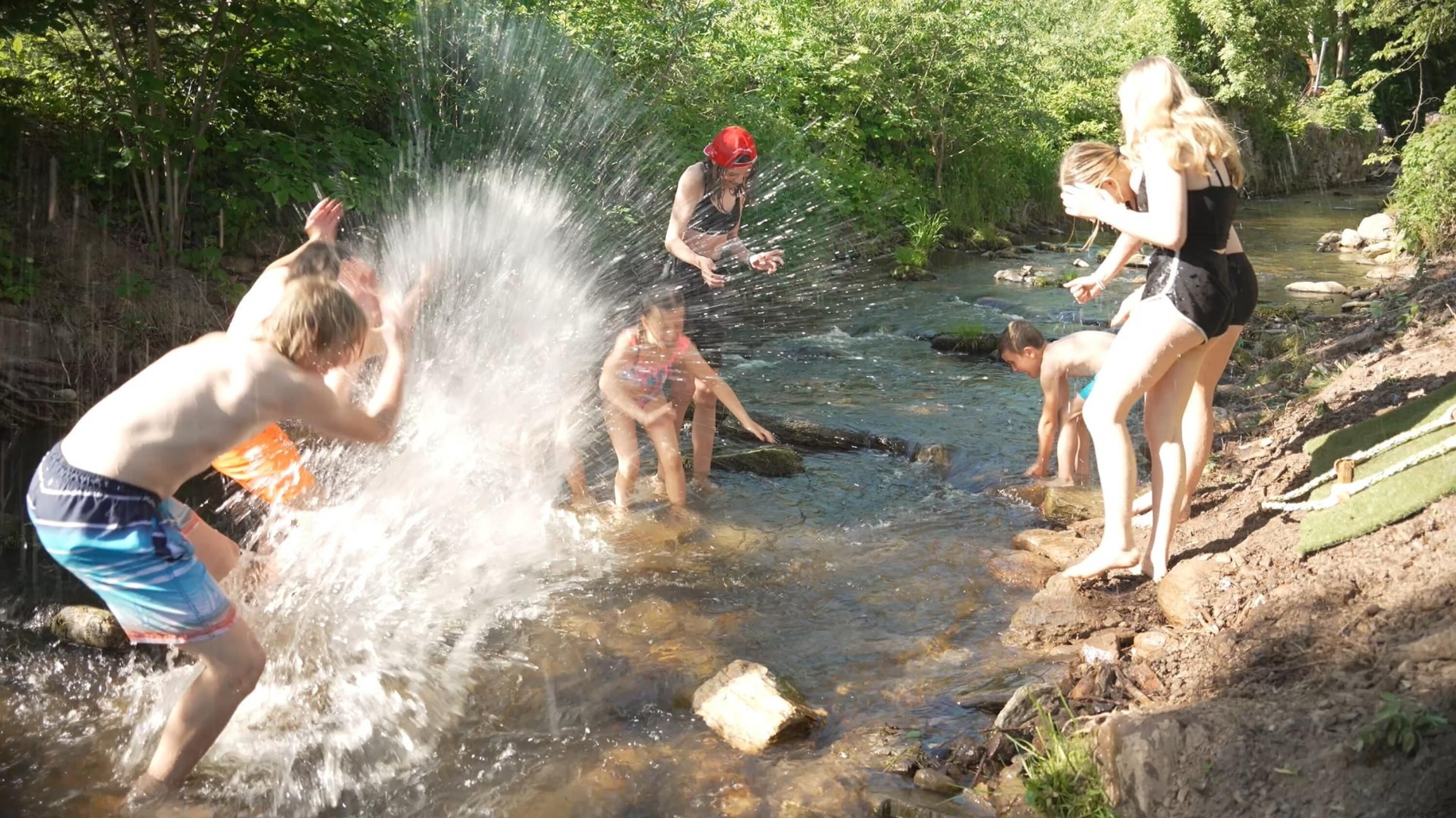 A group of people playing in a shallow stream surrounded by greenery.