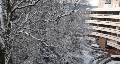 Appartement idéal pour voir les Jeux Olympiques 2/4 personnes