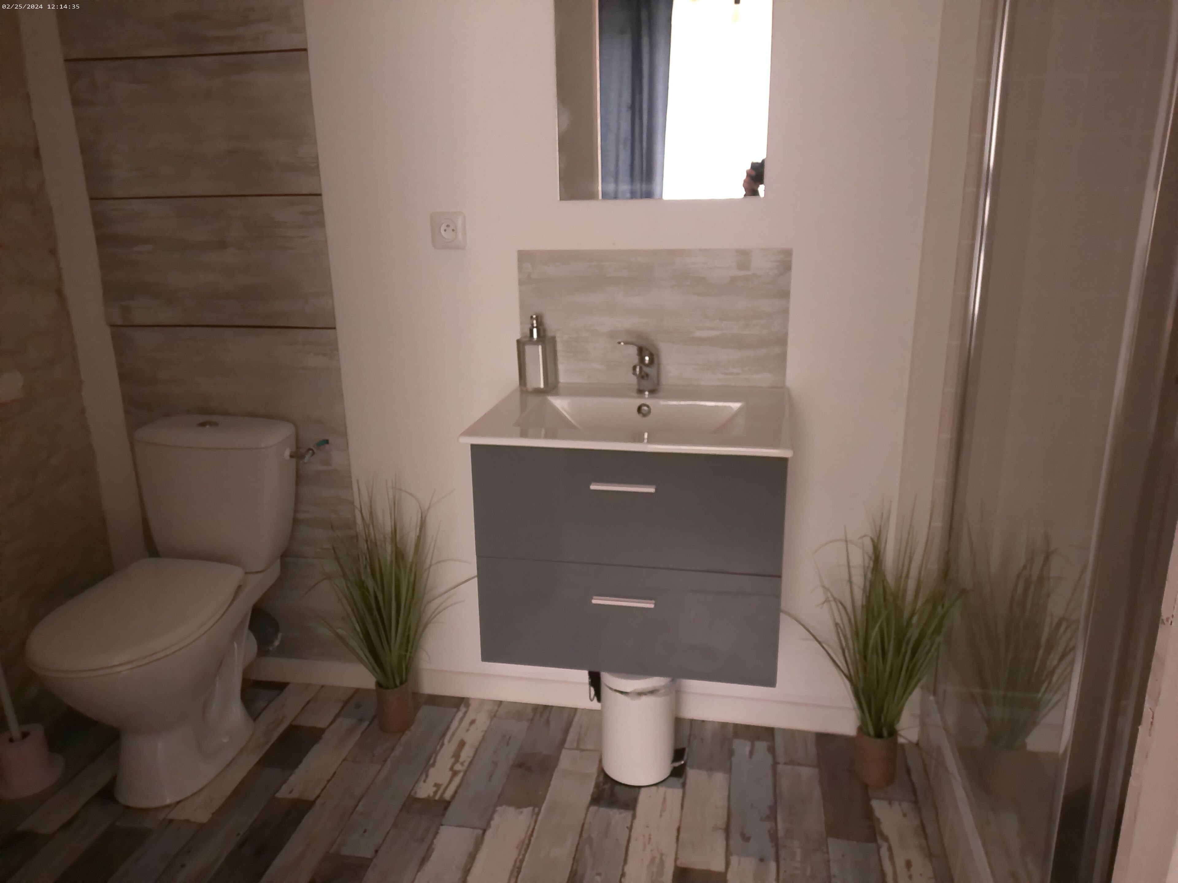 A bathroom with a toilet, a sink, and two potted plants.