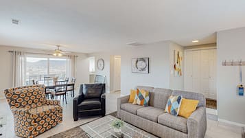 TV, fireplace, video games, DVD player