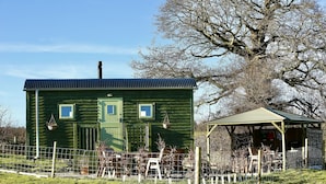 A green wooden house with a metal roof, a fenced garden area, and a covered outdoor seating area.