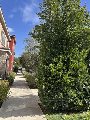 Área da propriedade