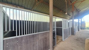 A stable with metal railings and wooden walls.