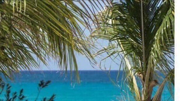 A beach with wooden lounge chairs and a white umbrella, palm trees, and a view of the ocean.