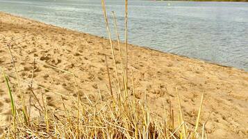 Una platja sorrenca amb herba seca al primer pla i una massa d'aigua tranquil·la al fons.