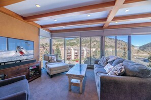 Smart TV, fireplace, books