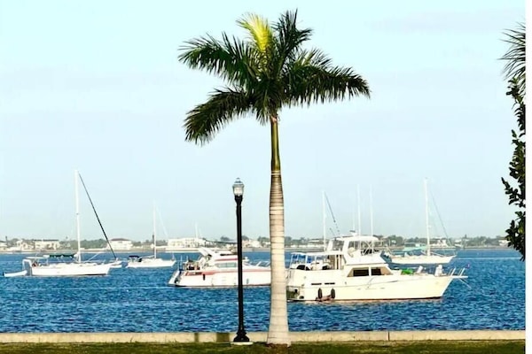 Marina
