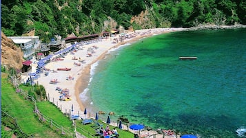 Playa