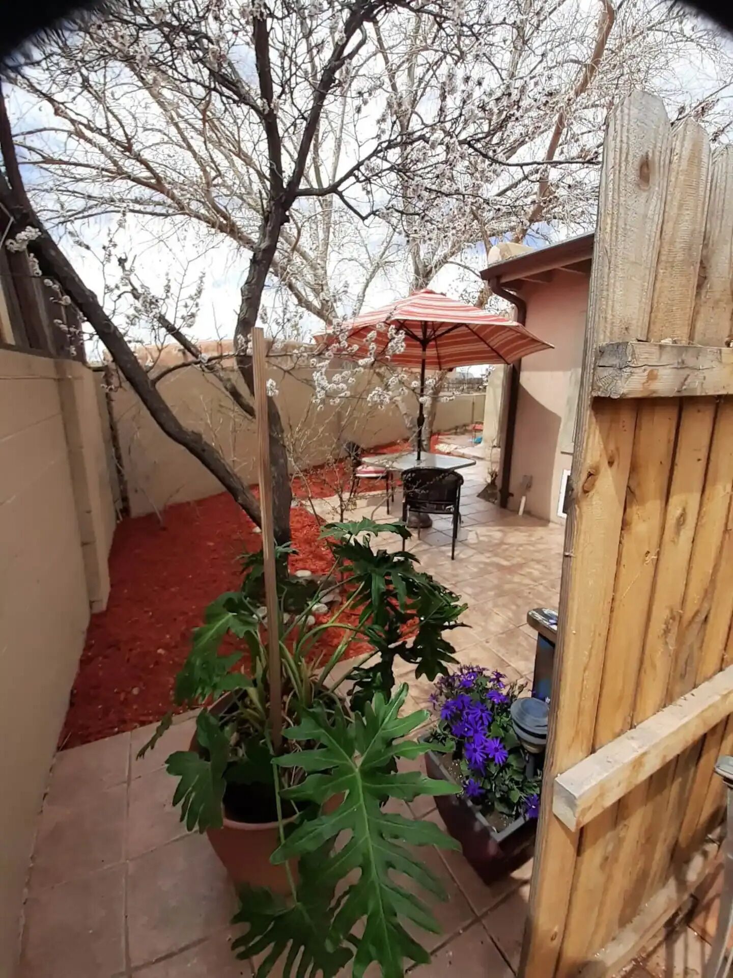 Terraza o patio