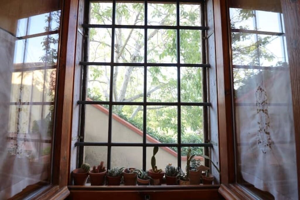 A window with a grid pattern, potted plants on the sill, and a view of trees outside.