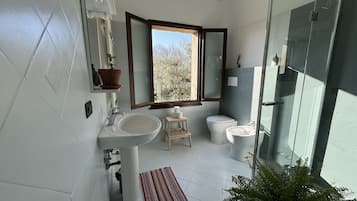 Shower, rainfall showerhead, hair dryer, bidet