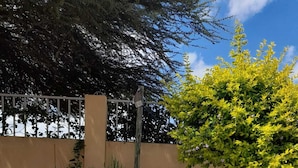 A garden pathway with a row of white pebbles and red stones, bordered by grass and a tree. - Ikhutse Guest House (Kanye)