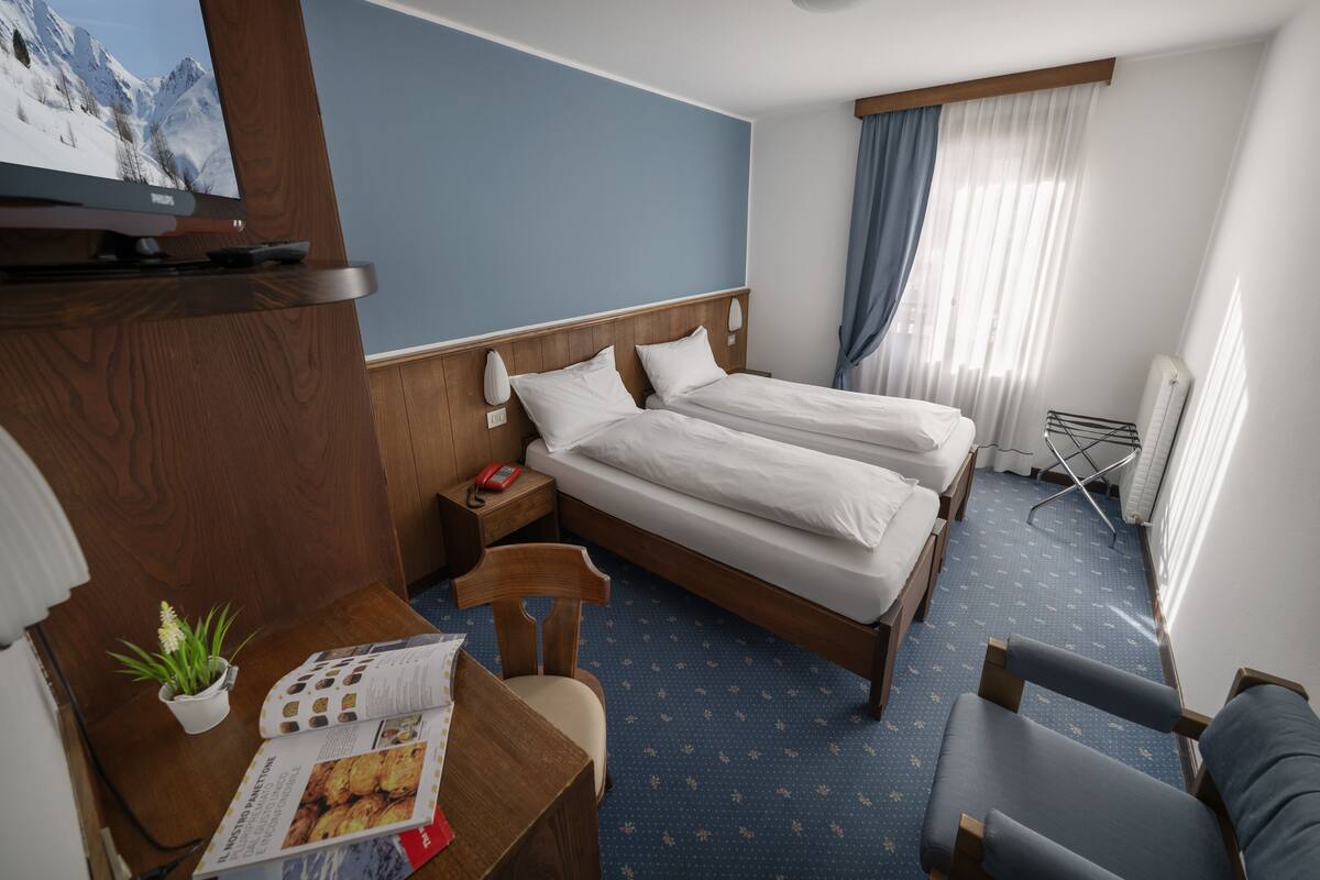 A hotel room with two beds, a TV, a desk with a chair, a small table with a plant, and a window with curtains.