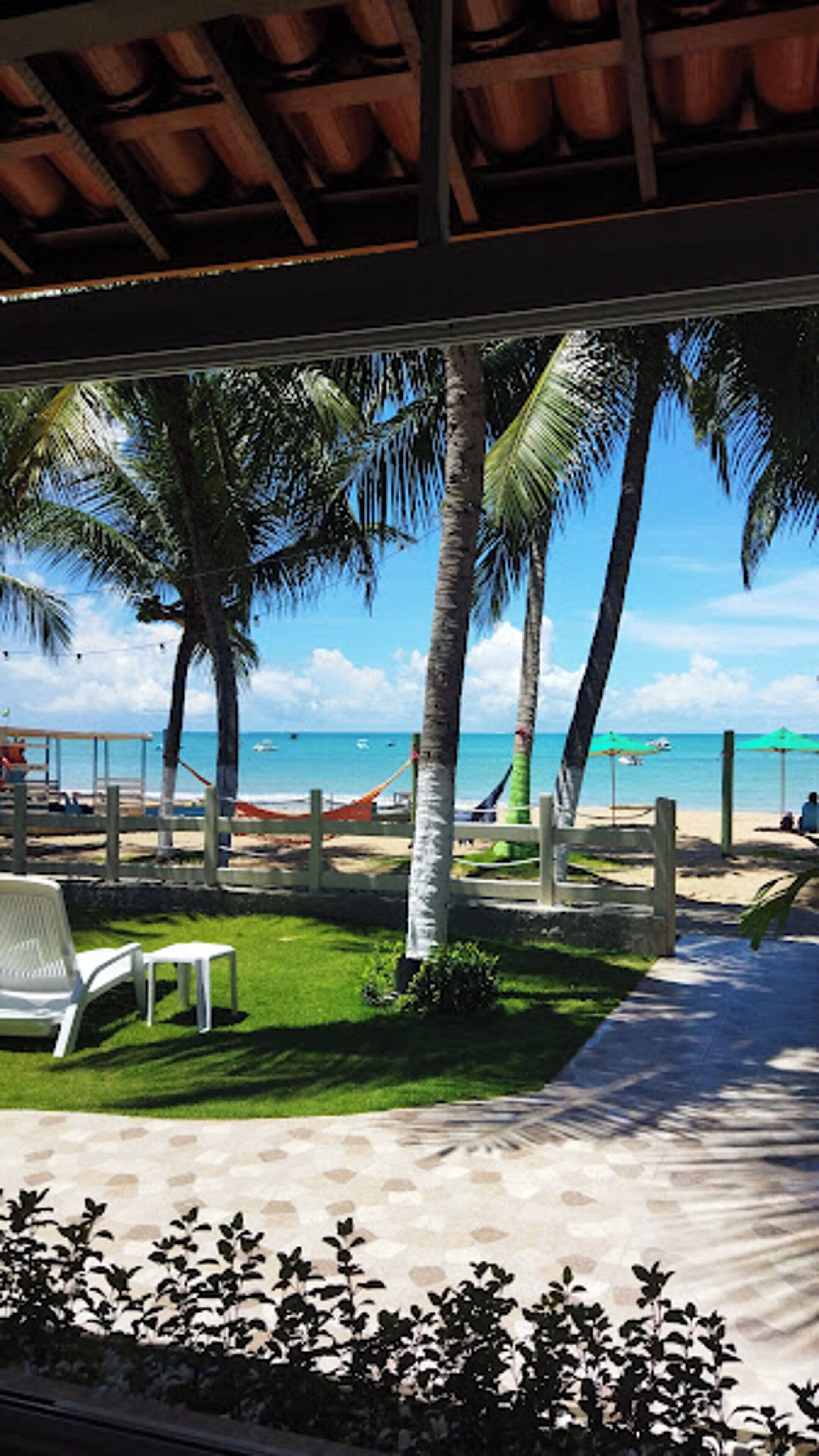 A beachside patio with palm trees, a hammock, and a view of the ocean.