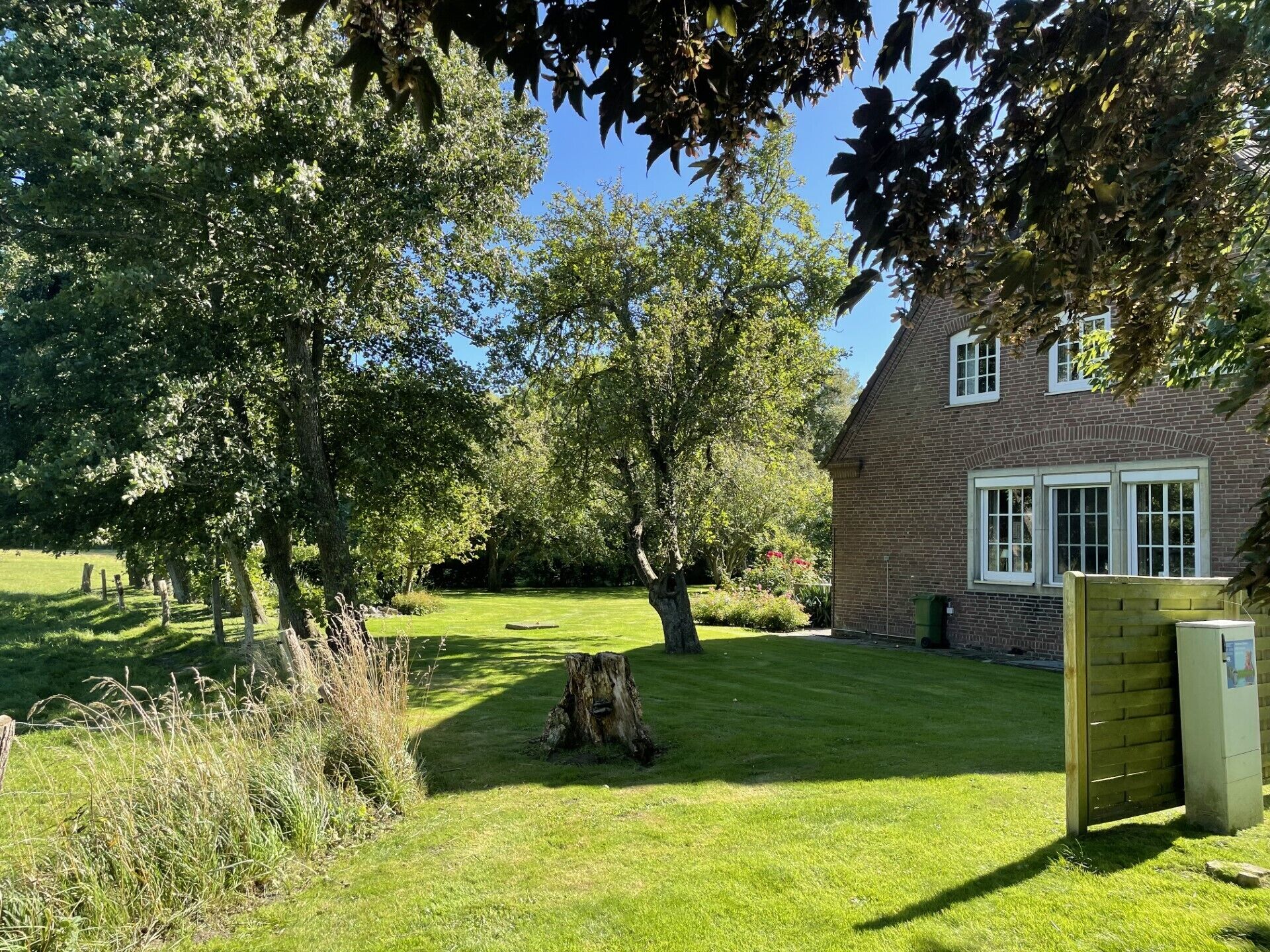 Blick auf den Garten