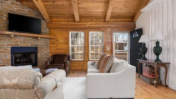 Smart TV, fireplace, DVD player, books
