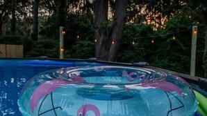 A swimming pool with a clear inflatable ring and a flamingo design. - Family & Dog Friendly Fun New Renovation w/ Pool!
 (Savannah)