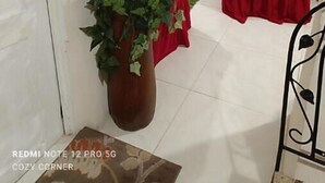 Un rincón acogedor con una planta en maceta, una silla roja y dos ventanas con cortinas verdes.