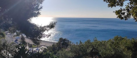 海滩