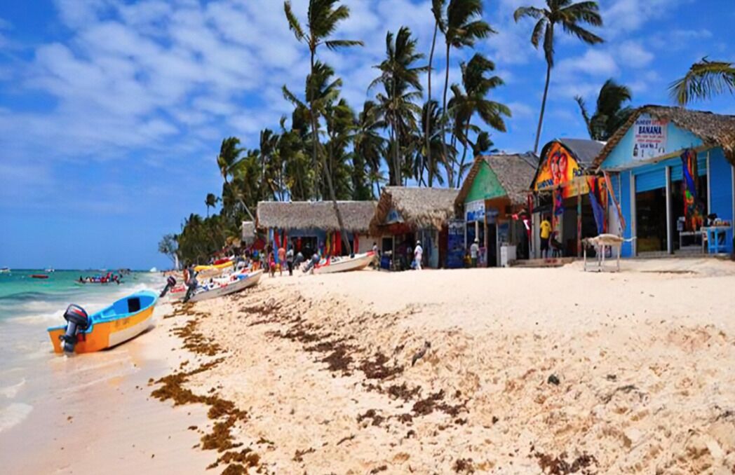 A beach with thatched-roof buildings, palm trees, and boats on the sand.