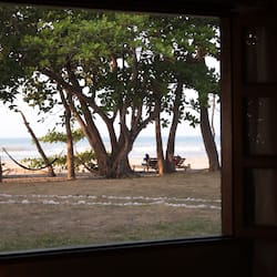 Superior Room | View from room