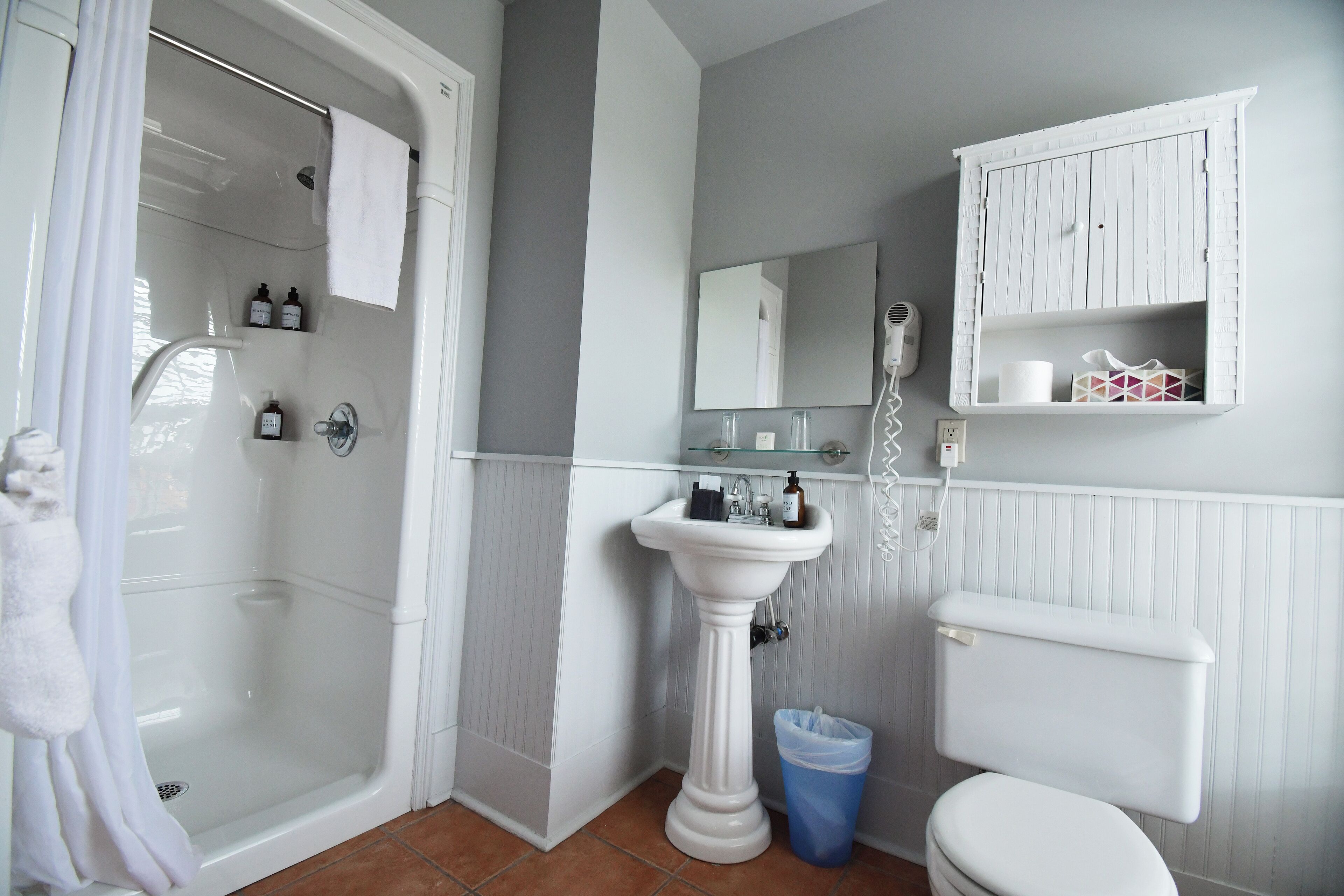 A bathroom with a shower, a pedestal sink, a toilet, and a mirror.
