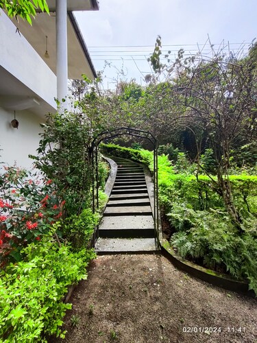 Spring Shannon Heritage 