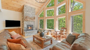 Téléviseur connecté, foyer