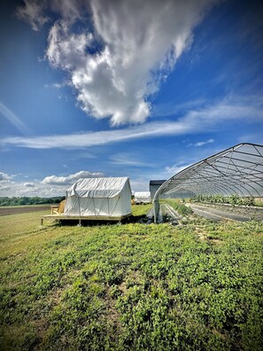 Miscellaneous - Allenbrooke Farms Glamping Tent 1 (Spring Hill)