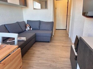 Living area - 50m from resort center, 4th floor, view mountain, swimming pool, balcony, tv, ski locker, 20m² (Risoul)