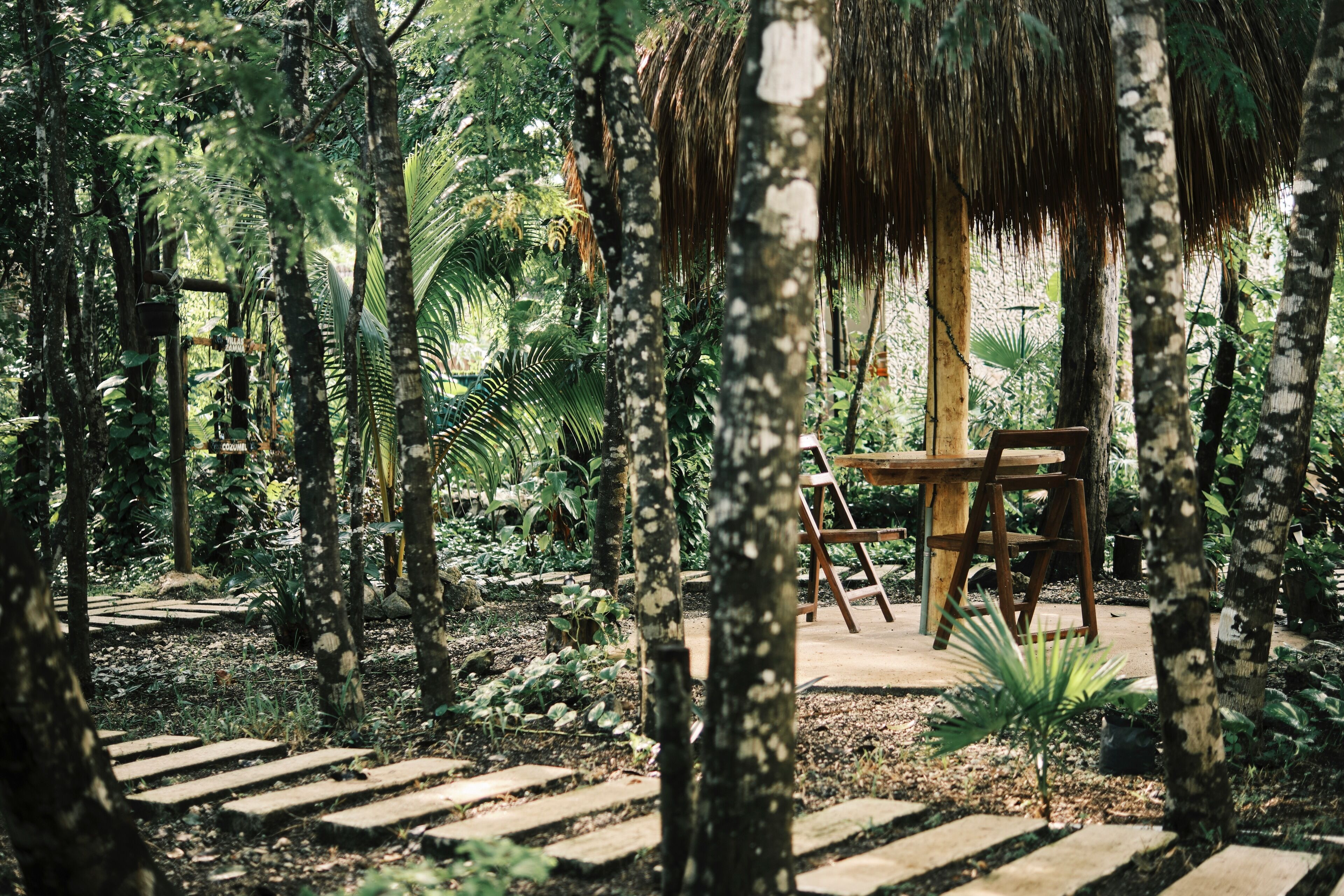 A wooden bench under a thatched roof, surrounded by lush greenery and trees.