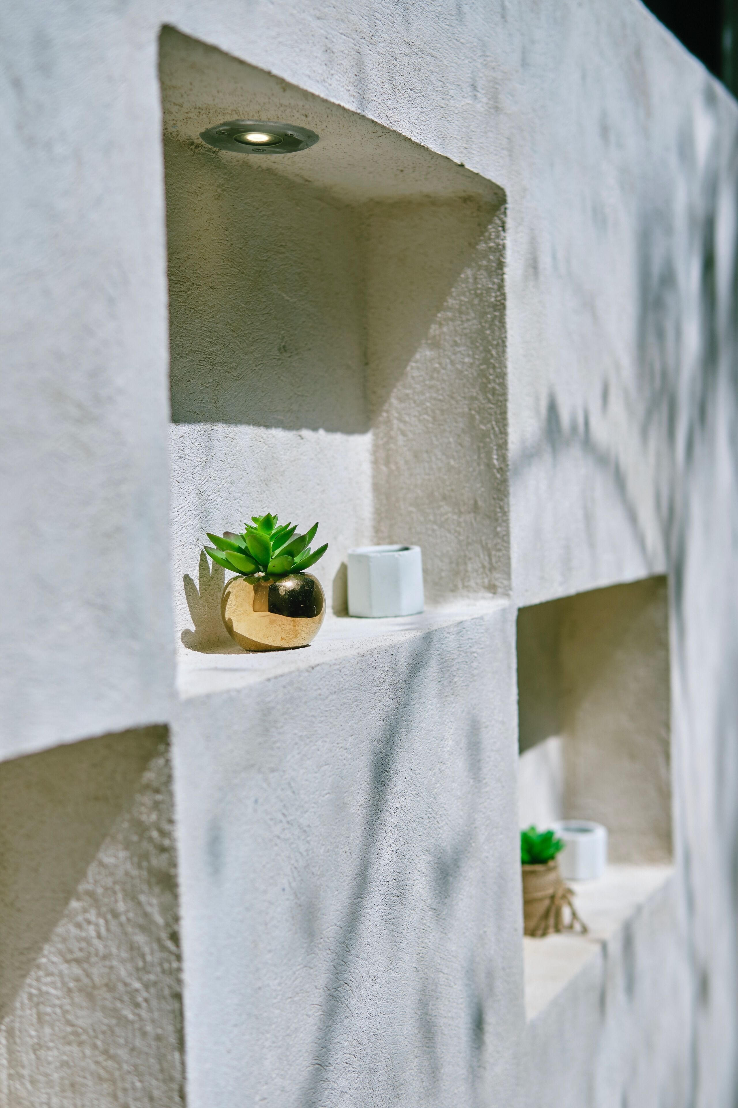 Een betonnen muur met inspringende planken, elk met een kleine potplant en een rol toiletpapier.