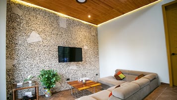 A living room with a stone wall, a flat-screen TV, a sofa, a coffee table, and a potted plant.