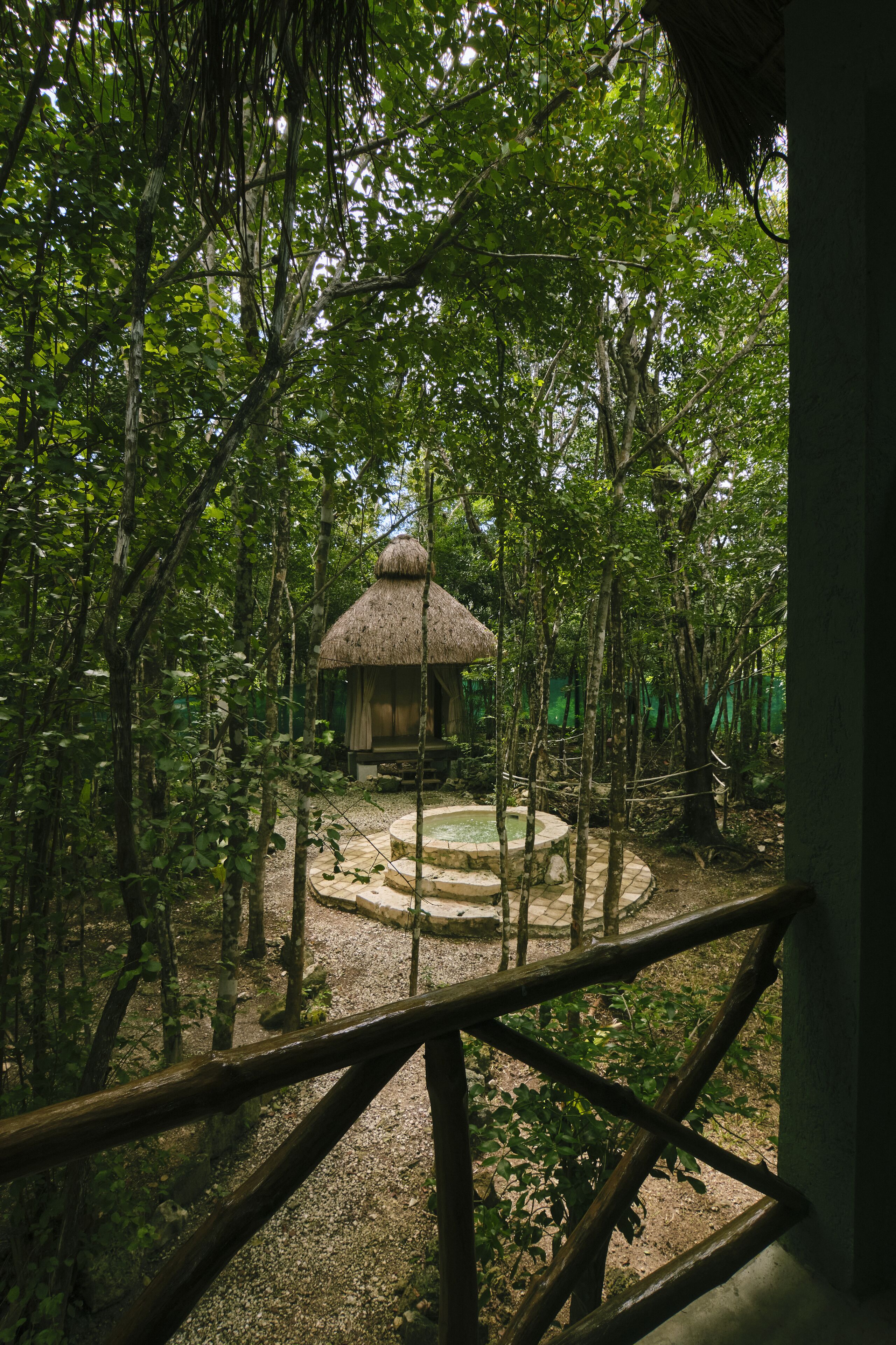 Una cabaña rústica con techo de paja rodeada de un bosque denso, con un camino de grava que conduce a una estructura circular de piedra.