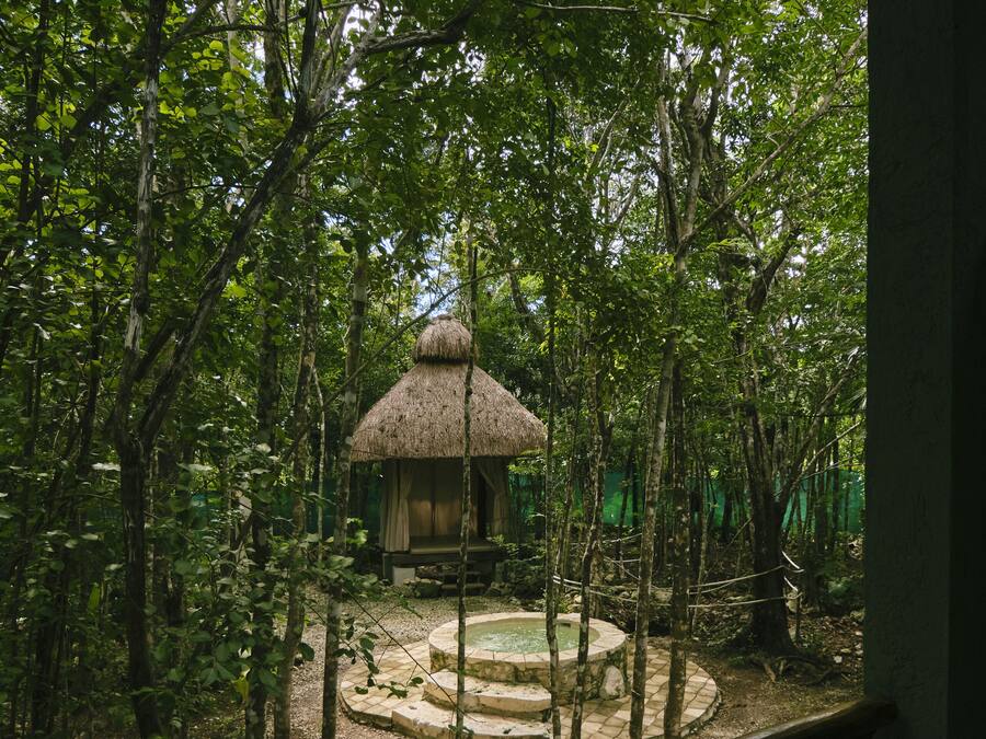 Una cabaña rústica con techo de paja rodeada de un bosque denso, con un camino de grava que conduce a una estructura circular de piedra.