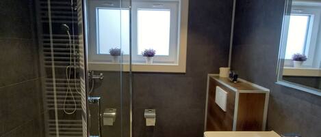 A modern bathroom with a glass-enclosed shower, a toilet, and a vanity with a mirror.