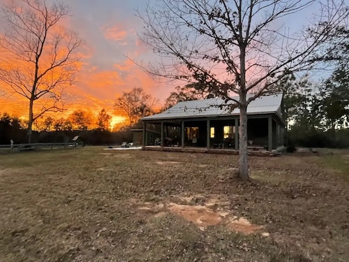 Private and peaceful setting surrounded by Longleaf Pines on the Perdido River

