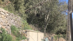 A patio with a table and chairs, surrounded by a stone wall and vegetation. - Gîte Charmant Dans Maison Ardéchoise au Coeur des Montagnes Pour Amoureux Nature (Saint-Michel-de-Chabrillanoux)