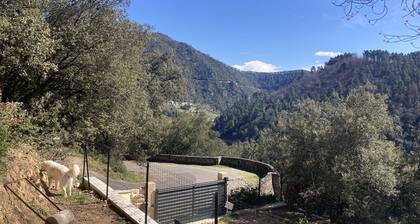 Gîte Charmant Dans Maison Ardéchoise au Coeur des Montagnes Pour Amoureux Nature