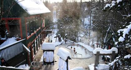 Woodpecker, Spa,Foyer,Bike,Ski!