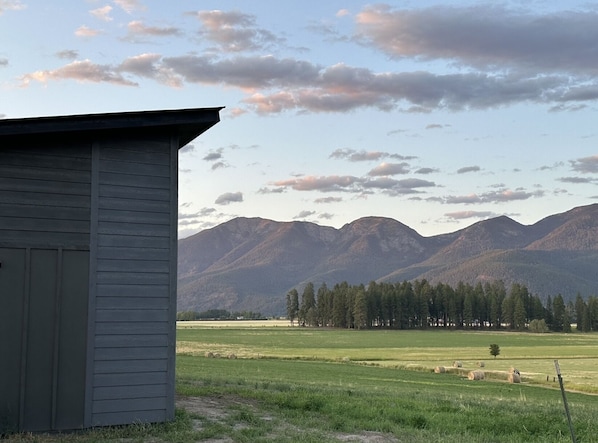 Property grounds - Willowline Cabins #4 (Kalispell)